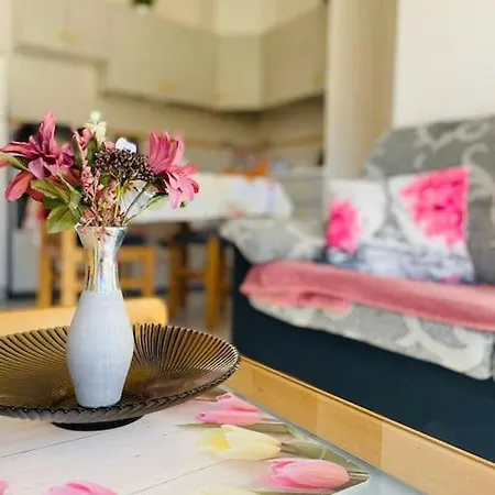 Apartment En Torrevieja
